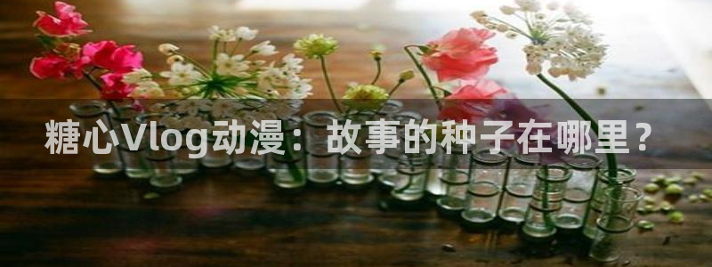 糖心官网是多少